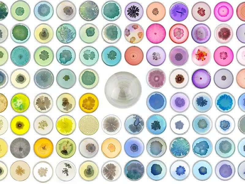 Colorful and artistic arrangement of cells